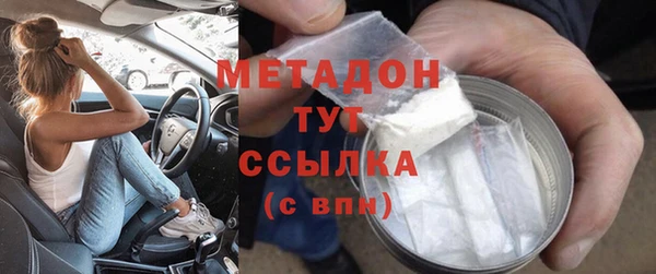 ПСИЛОЦИБИНОВЫЕ ГРИБЫ Вязники