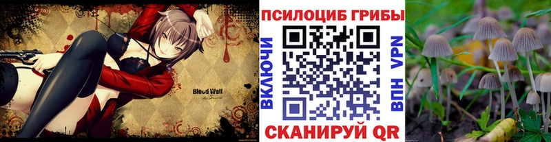Псилоцибиновые грибы ЛСД  Инсар 